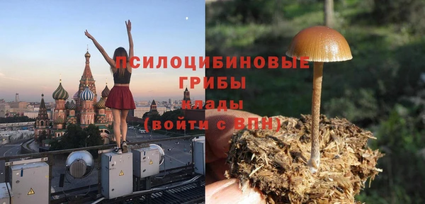 крисы Киреевск